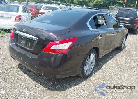 2010 Nissan Maxima 3.5 Sv z USA, uszkodzony, nr VIN 1N4AA5AP8AC823971